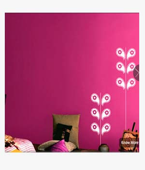 Asian Paints Signature Walls in Ajmer rajasthan - Bharat Trading ...